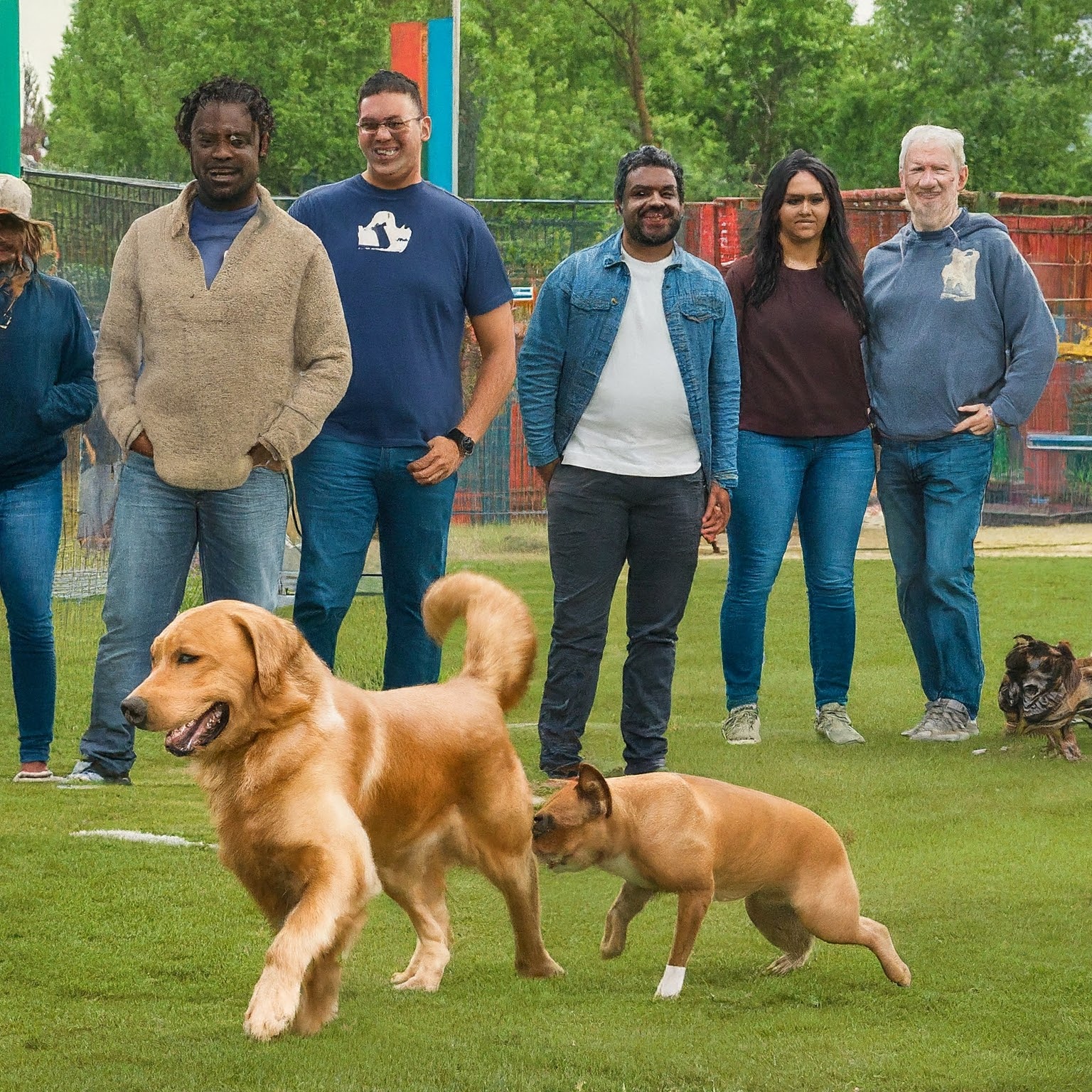 Dog Park Etiquette 101: Unleashing Fun and Avoiding Awkward Paw-rents